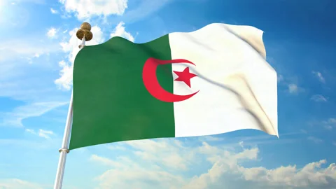 Algeria flag Stock Footage 144974342