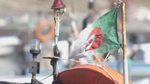 Algeria flag Stock Footage 147691922