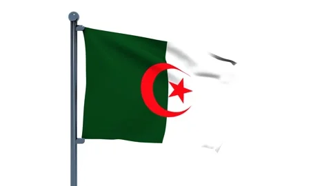 Algeria Flag Video stock 150196581