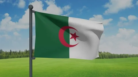Algeria Flag Stock Footage 151862308