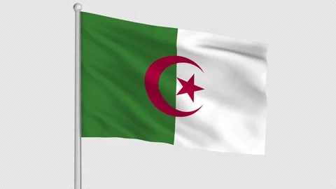 Algeria Flag Stock Footage 219470737