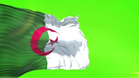 Algeria Flag in Green Screen Stock Footage 328525699