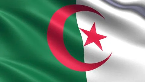 Algeria Flag Stockillustratie
