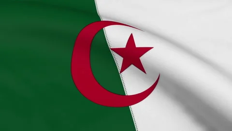 Algeria Flag Loop Stock Footage 241175335