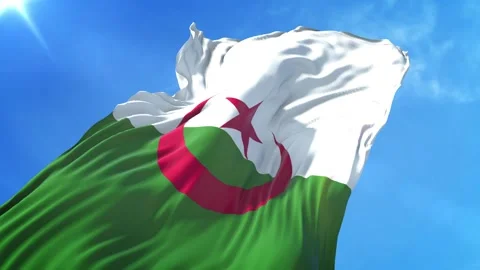 Algeria Flag Low Angle View Stock Footage 295683280