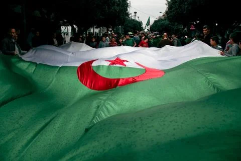 Algeria flag Stock Photos