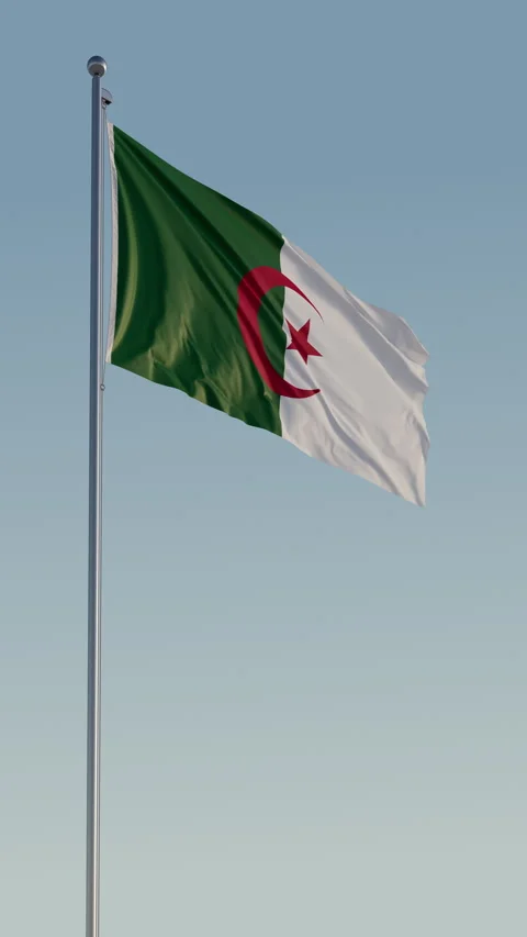 Algeria Flag Seamless Loop Cinematic Realistic Waving Blue Sky 스톡 동영상 316750226