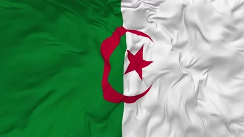 Algeria Flag Seamless Looping Background Slow Motion Waving Stock Footage 233488889
