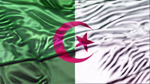 Algeria Flag Waving 3D Animation Loop. 库存影片 336473733