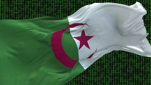 Algeria flag - Waving flag on matrix binary code background Stock Footage 321420787