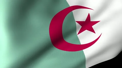 Algeria Flag Waving 스톡 동영상 12207180