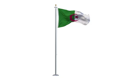 The Algeria flag is waving. Stockbeeldmateriaal 303142545