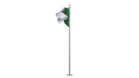 The Algeria flag is waving. Vidéo 303142728