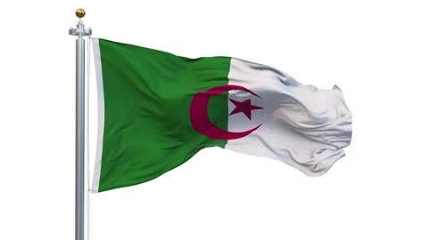 The Algeria flag is waving. Stock-Footage 303142748
