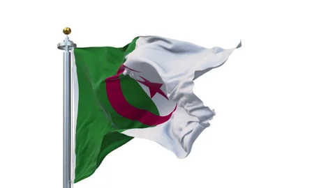 The Algeria flag is waving. Stock-Footage 303142750