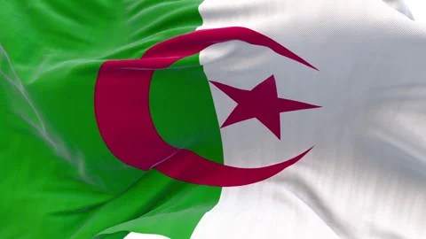 The Algeria flag is waving. Stock Footage 303142776