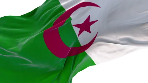 The Algeria flag is waving. Stock-Footage 303142777