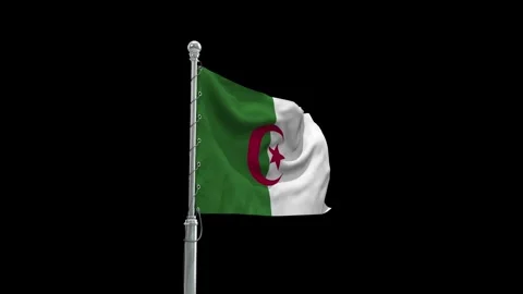 Algeria Flag Waving in Loop and Textured 3d Rendered Background - Stock Footage 282888585