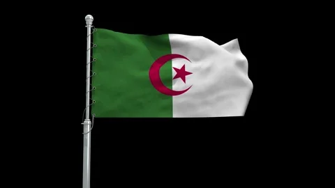 Algeria Flag Waving in Loop and Textured 3d Rendered Background - Stock Footage 282888592