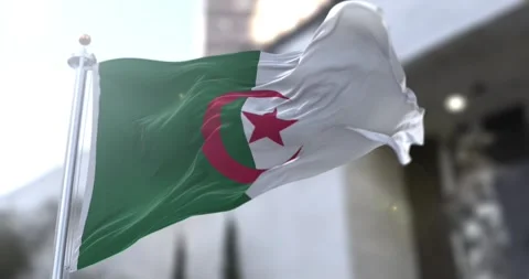 Algeria-flag-waving-seamless-loop-4k-60fps Stock Footage 331858587