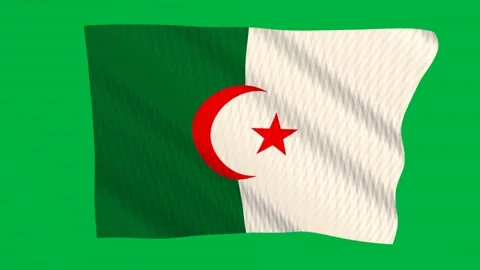 Algeria flag waving in the wind on a green screen Vídeos de archivo 343129208