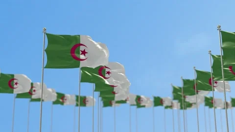 Algeria  Row Of Flags Animation Video stock 148614166