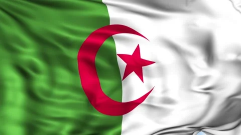 Algeria Waving Flag Background Stock Footage 204132916