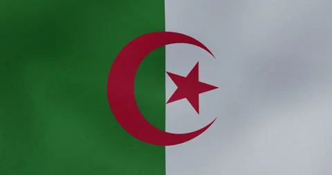 Algeria Waving Flag Loopable Stock Footage