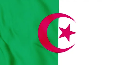 Algeria wind waving 4k flag animation Stock Footage 329366040
