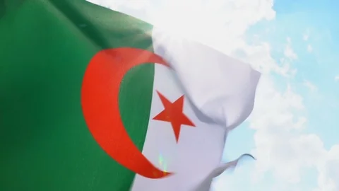 Algerian Flag Flapping Stock Footage 118963213