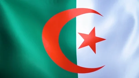 Algerian Flag Flapping Stock Footage 118972423
