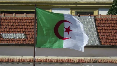 Algerian Flag Flapping in the Wind Stock Footage 155538589
