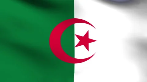 Algerian flag Stock Footage 46349084