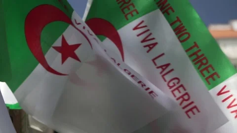 Algerian flags Vidéo 125816292