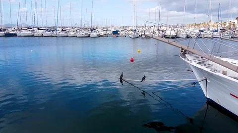Alghero marina yachts Video stock 127380762
