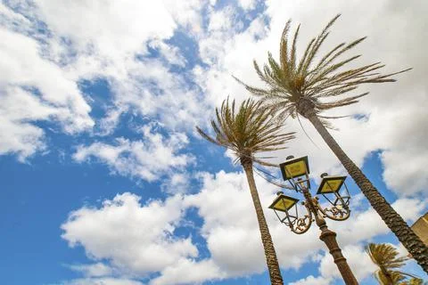 ALGHERO Stock Photos