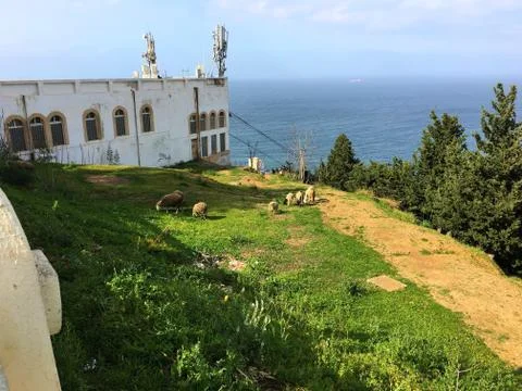 Algiers, Algeria Stock Photos