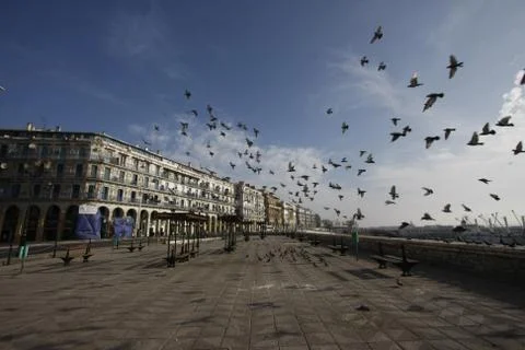 Algiers seaside 스톡 사진