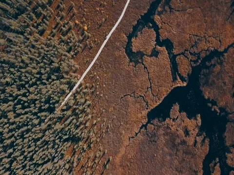 Algonquin clip 3 库存影片 82084366