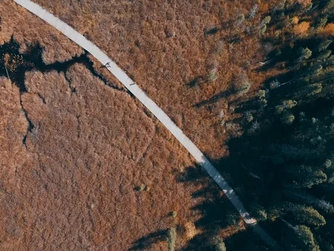 Algonquin clip 4 库存影片 82084215