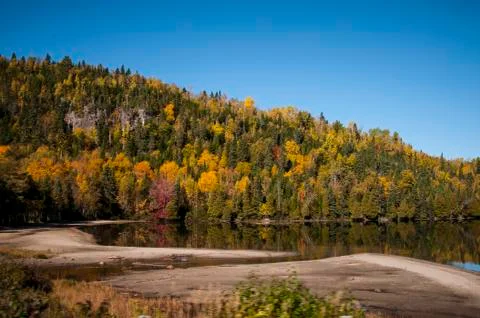 Algonquin parc Canada Stock Photos