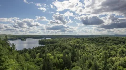 Algonquin Park - Track &amp; Tower Stock Footage 53257242
