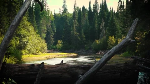 Algonquin Park Whiskey River - Timelapse Stock Footage 66856229