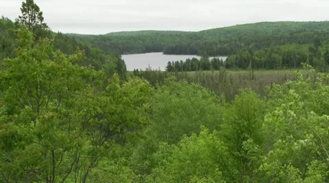 Algonquin Provincial Park Stock Footage 8555645