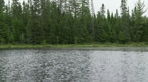 Algonquin Provincial Park pan 2 Stock Footage 10571559
