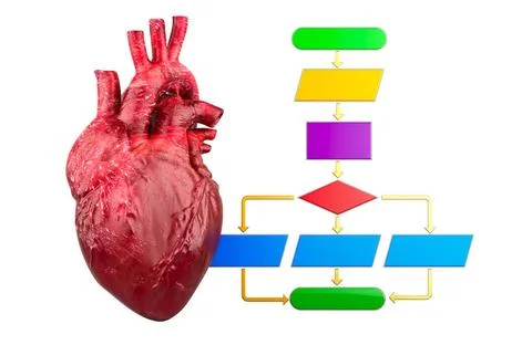 Algorithm treatment of heart, concept. 3D rendering Algorithm treatment of... Stock Photos