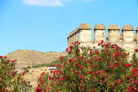 Alhambra Stock Photos