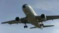 Alialia flying overhead HD Footage