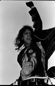 Alice Cooper Fotos Stock