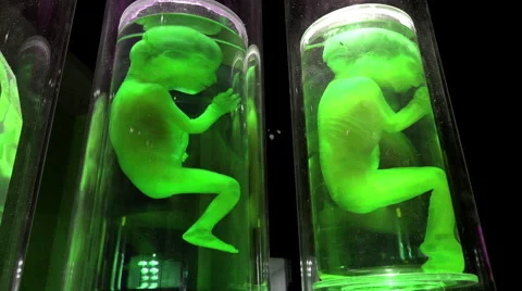 Alien babies on display in jars 4k 스톡 동영상 54918349